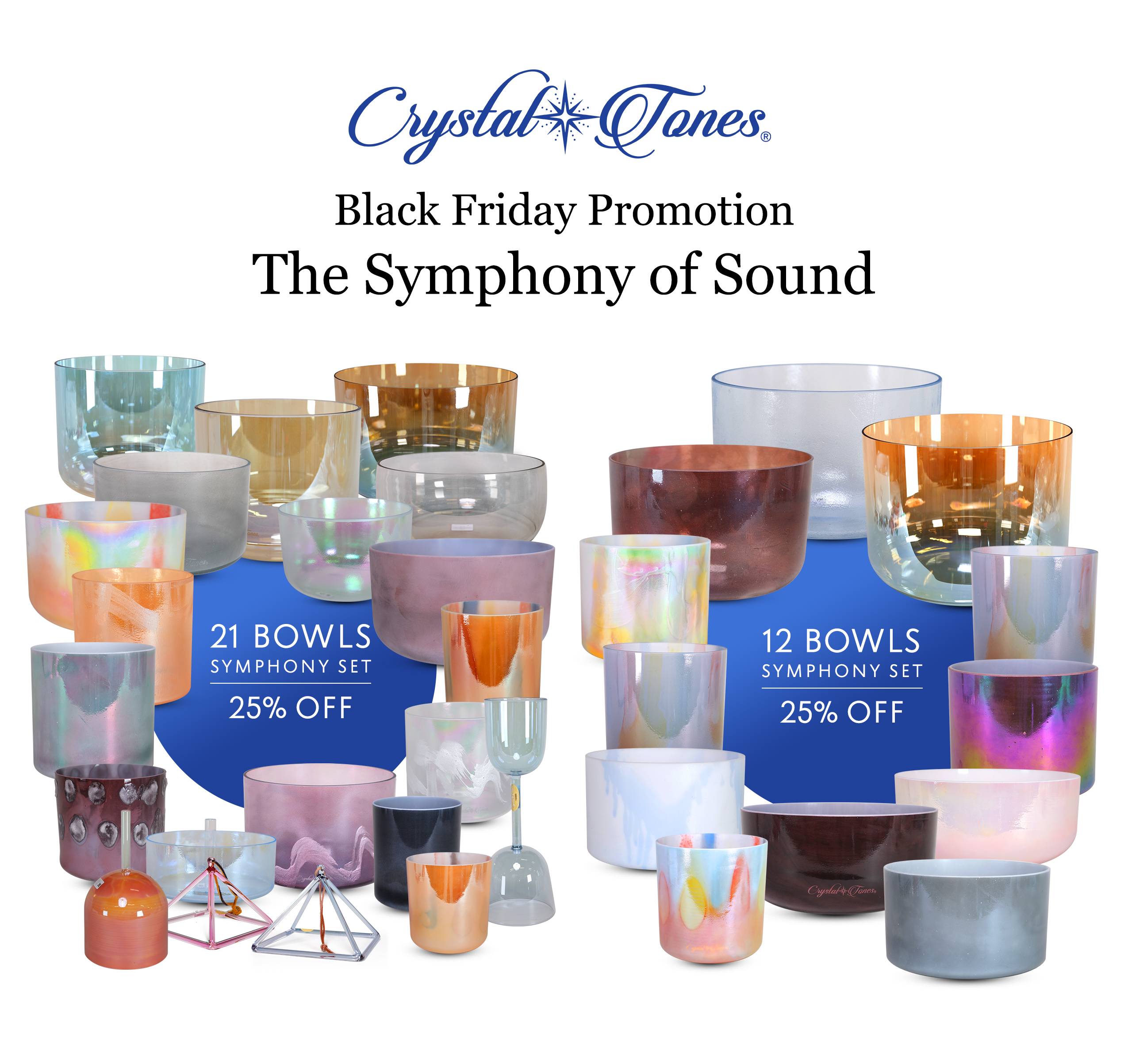 Black Friday Promotion